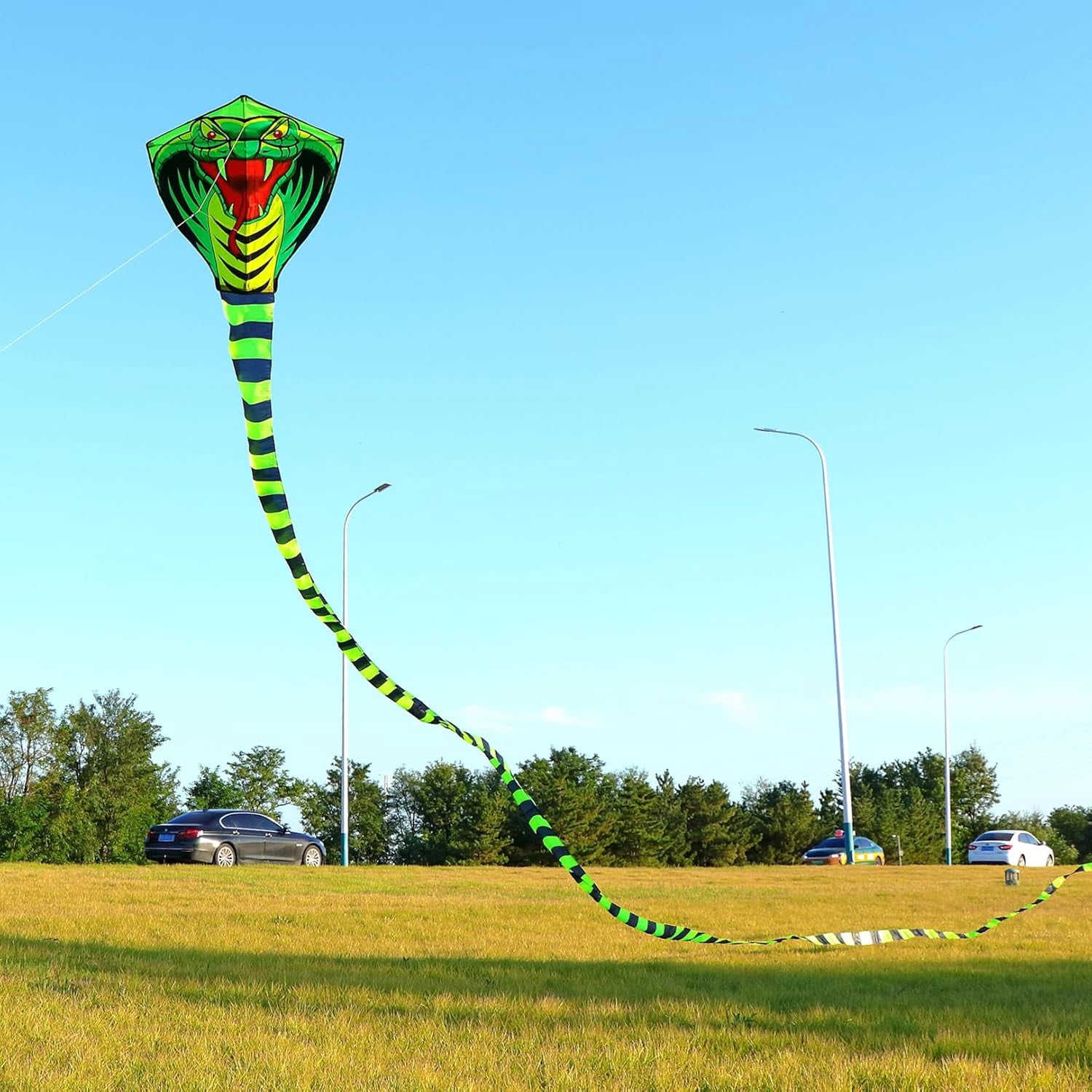Giant Snake Kite - 50ft Single String Beach Kite for Beginners & Kids, Easy to Fly, 330ft String Handles