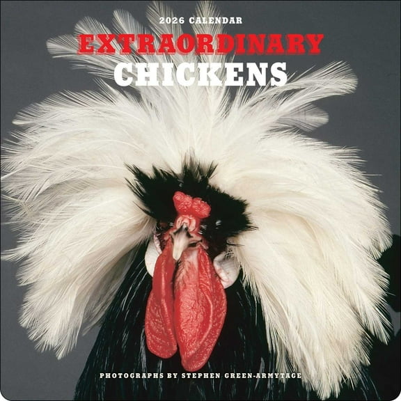 Extraordinary Chickens 2026 Wall Calendar, (Paperback)