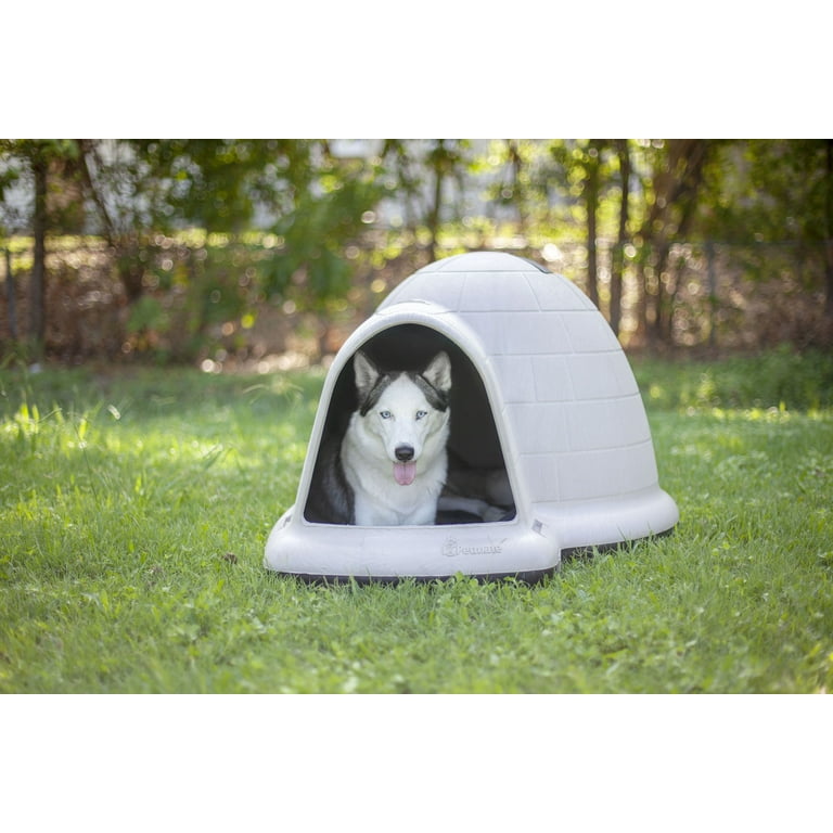 Petmate Indigo Igloo Insulated Dog House, Large, for Cold Winter