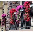 thumbnail image 1 of unids/set hiedra Artificial vid plantas colgantes hoja Artificial vid púrpura Flo, 1 of 4