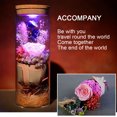 thumbnail image 5 of Real Eternal Flower Wishing Bottle Lamp with Remote Control LED Night Light Gift for Xmas New Year, 5 of 5