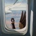 thumbnail image 2 of Heffernan, Lucia 15x15 Gold Ornate Wood Framed with Double Matting Museum Art Print Titled - Friendly Skies, 2 of 4