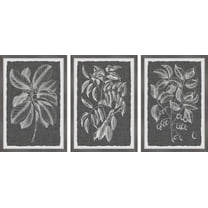 Marmont Hill Graphic Foliage Vi Triptych, Art Prints, 36.00" x 1.50"