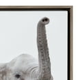 thumbnail image 3 of Kate and Laurel Sylvie Safari Animal Collection Framed Canvas Wall Art by Amy Peterson Art Studio, Set of 6, 13x13 Gray, Decorative Animal Art for Wall, 3 of 8