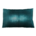 thumbnail image 1 of Ahgly Company Indoor Rectangular Contemporary Lumbar Throw Pillow, 13 inch by 19 inch, 1 of 5