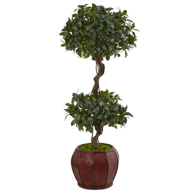 4.5 ft. Sweet Bay Double Topiary Tree in Round Wood Planter