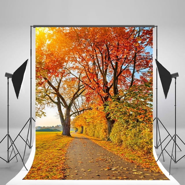 Fondos de fotografía de paisaje Natural ABPHQTO 150x220cm Otoño Hoja de Arce Rojo