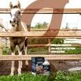 thumbnail image 7 of Organnact ORTHO FOALS to assist the development of healthy and strong bones in foals, 7 of 7