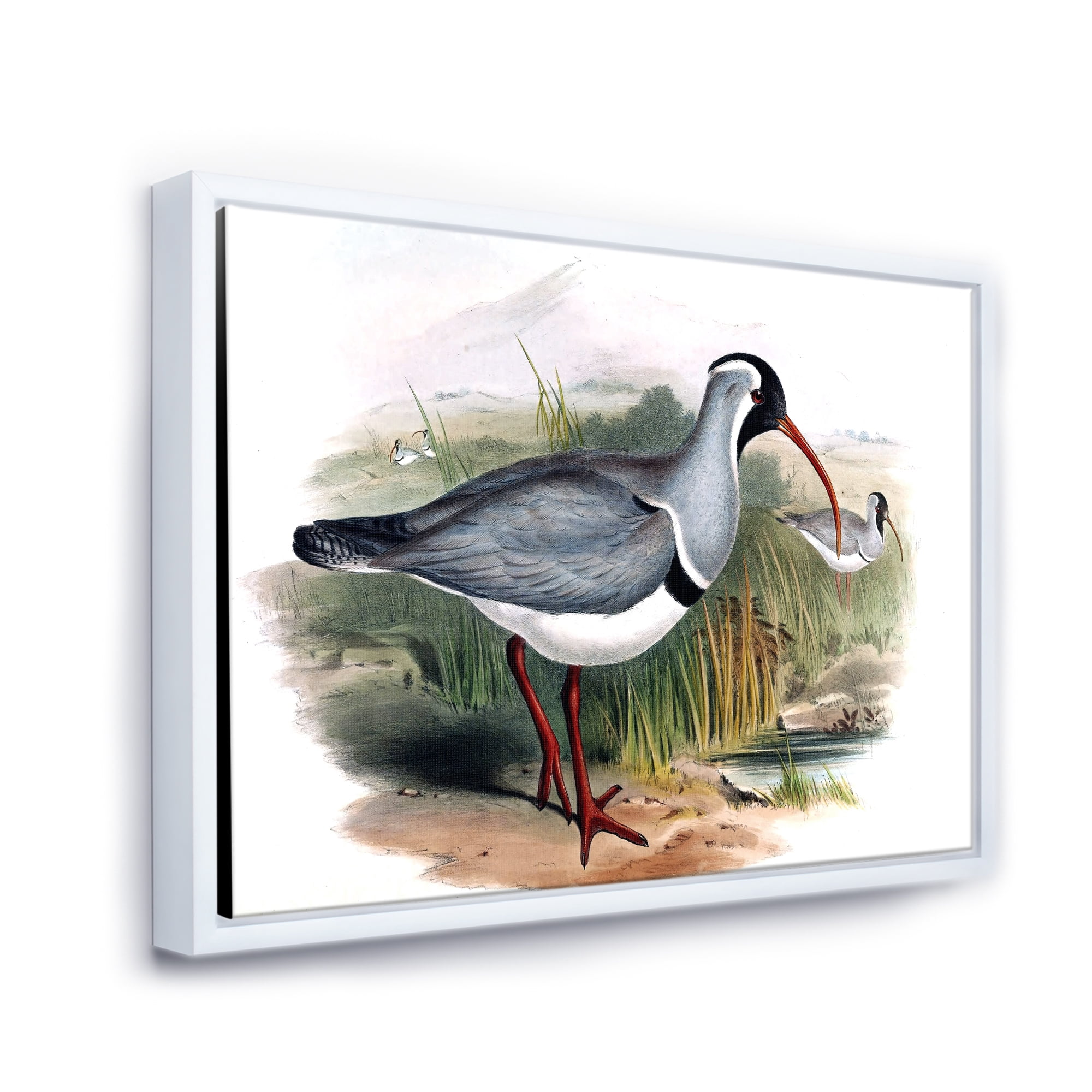 Designart 'Vintage Countryside Birds In Wild' Farmhouse Framed Canvas Wall Art Print