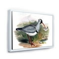 thumbnail image 3 of Designart 'Vintage Countryside Birds In Wild' Farmhouse Framed Canvas Wall Art Print, 3 of 5