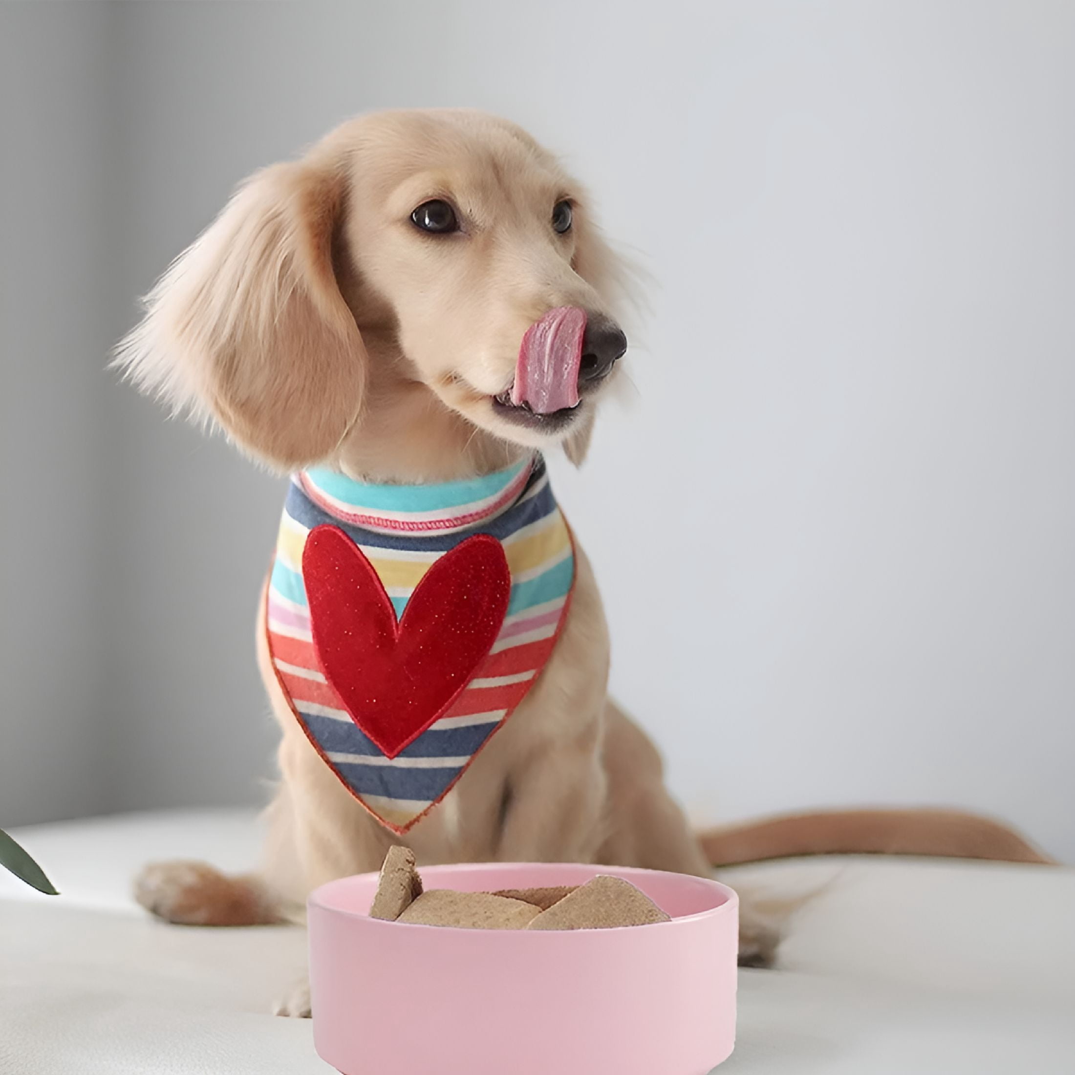 ACDANC Ceramic Stoneware Pet Bowl for Cats and Small Dogs,Classic Heavy Duty Non Slip Ceramic Cat Dish Small Animal Bowls for Food and Water - Pink