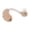 Brown, variant on AuyeeSnc OTC Rechargeable CIC Hearing Aids Mini Digital with US Chip, Noise Reduction, Memory Function