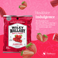 thumbnail image 2 of Wiley Wallaby Classic Red Licorice Bundle Includes Gourmet Strawberry Australian Liquorice Soft & Chewy Candy Twists (Pack of 2) With Reusable Snack Bag by The Mulberry Shop, 2 of 8
