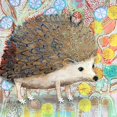 thumbnail image 2 of Verhoeven, Judy 15x15 White Modern Wood Framed Museum Art Print Titled - Hedgie, 2 of 4
