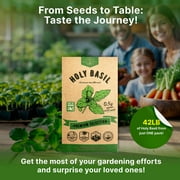 Organo Republic Holy Basil Seeds 0.5 g – 1,400 Non‑GMO Heirloom Basil Seeds – Indoor and Outdoor Herb Seed Packet for Home Garden, Culinary & Medicinal Planting