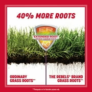 Pennington Rebels Tall Fescue Grass Seed, for Sun to Partial Shade, 3 lb.