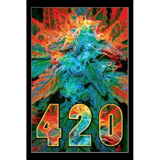 420 Laminated & Framed Poster Print (24 x 36)