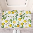 thumbnail image 2 of Welcome Summer Yellow Lemon Doormats,No Slip Durable Mats Decorations Floor Door Mats for Indoor Outdoor Bathroom, 2 of 6