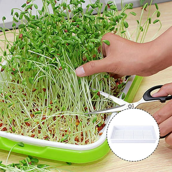 FRCOLOR  Sprouting Trays for Sprouts Seedling Hydroponic Vegetable Nursery