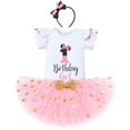 thumbnail image 2 of IBTOM CASTLE Toddler Girls 1st 2nd 3rd Birthday Outfit Princess Polka Dots Ruffle Tutu Skirt Mouse Headband Cake Smash Party Clothes Set 1 Year Pink, 2 of 8