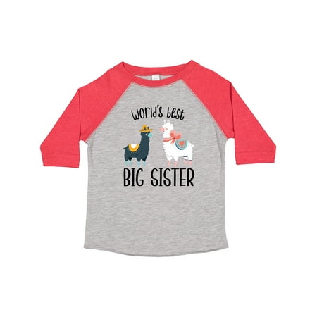 

Inktastic World s Best Big Sister Gift Toddler Toddler Girl T-Shirt