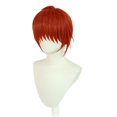 thumbnail image 2 of Peluca para cosplay Rurounis Kenshin Meijis Kenkakus Romanticas, 2 of 3