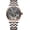 J9061G3 silver rose grey, variant on JINLERY Men Tourbillon Watch Skeleton Mechanical Hand Wind Stainless Steel Leather Wristwatch Sapphire Crystal Manual Wind Hollow Clock Male Luminous