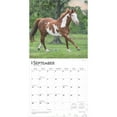 thumbnail image 3 of Quarter Horses 2025 12 X 24 Inch Monthly Square Wall Calendar Plastic-Free (Wall), 3 of 8