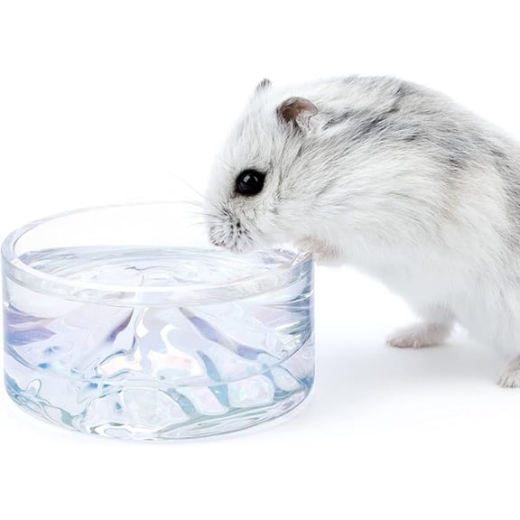 Hamster Water Bowl Glass Food Mountain Style Drinking for Small Pets