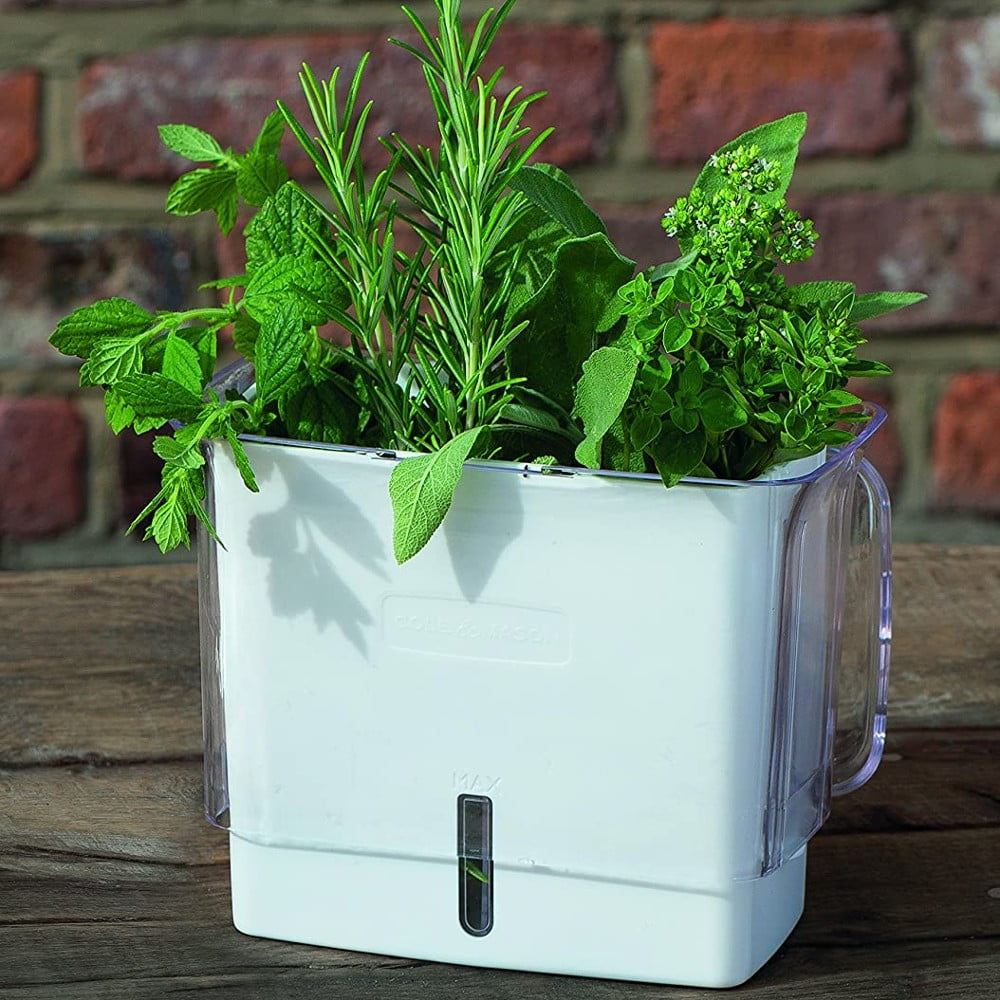 Cole & Mason Herb Saver Container with Dividers | Clear Acrylic Pod for Fridge | Keeps Herbs Fresh Longer