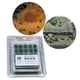 thumbnail image 5 of 50 piezas/caja de simulación de hierba, arbusto, planta, escena estática, conjunto de paisaje hecho a mano E, 5 of 8