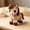 C, variant on 3D Beaded Animal Kit,Tiny 3D Beaded Animal DIY Kit,DIY Animal Beading Kit with Colorful Embroidery Beads & Instructions for Beginners & Adults (Bear)