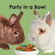 Kaytee Fiesta Rabbit Food, 6.5 Pounds