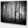 thumbnail image 3 of Designart Beautiful Forest Morning Panorama Canvas Wall Art, 3 of 4