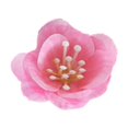 thumbnail image 2 of YIKA Festival Decorations Simulation Flower Head Plastics Flower Head Decoration DIY Handmade Fake Flower Material Simulation Flower Decoration Bouquets Decoration, 2 of 6