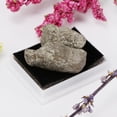 thumbnail image 2 of Tachiuwa Rock & Mineral Collection Geology Science Kit Science Toy - Pyrite, 2 of 9