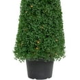 thumbnail image 5 of Northlight Pre-Lit Artificial Boxwood Cone Topiary Tree in Round Pot - 4' - Clear Lights, 5 of 6