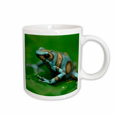 

3dRose Blue n brown tree frog on a leaf Ceramic Mug 15-ounce