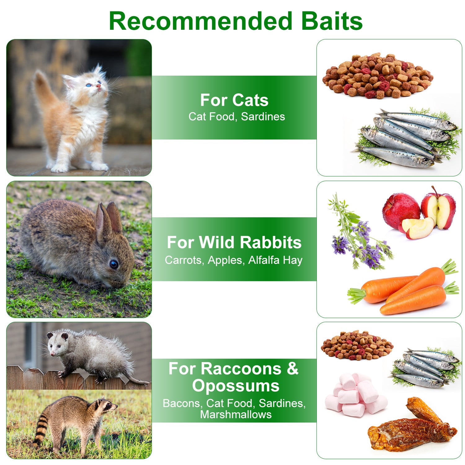 Imountek 2Pcs Humane Live Animal Trap Cage, Collapsible Galvanized Iron Rodent Trap Cage Catch and Release for Small Squirrel Raccoon Feral Cat, 18"x8"x10"