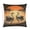 Pattern-3, variant on Cushion Case Two Swans Swimming In Water Pillowcase Farm Decorations Pillow Case Beautiful Swan Bed Throw Pillows Home Sofa Decor Pillowcase 20"x20"
