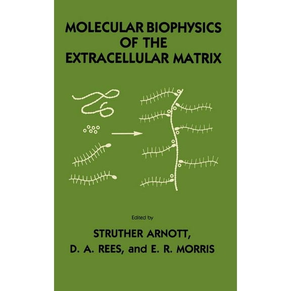 Molecular Biology and Biophysics Molecular Biophysics of the Extracellular Matrix, (Hardcover)