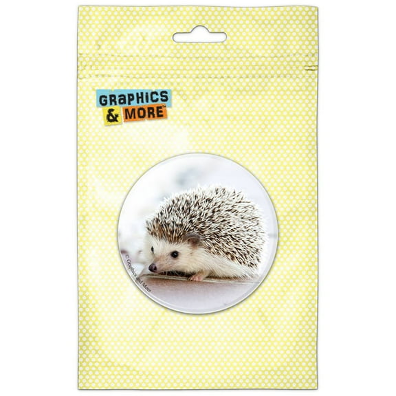 Hedgehog Tiny Pinback Button Pin Badge
