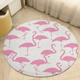 thumbnail image 4 of Flamingo Pattern Washable Round Rug -Circle Area Rugs for Nursery Bedroom, Vintage Non Slip Non Shedding Low Pile Carpet for Living Room Coffee Table Entryway, 4 of 6