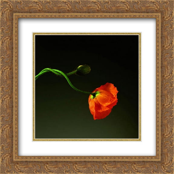 Poppy, 1988 2x Matted 20x24 Gold Ornate Framed Art Print by Robert Mapplethorpe