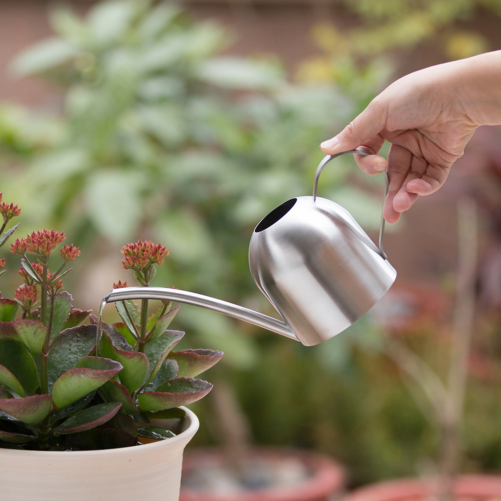 Watering Can Indoor Plants Small Stainless Steel Long Mouth Watering Pot  Watering Kettle Green Shower Household Flower Watering Pot 