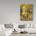 thumbnail image 3 of Trademark Fine Art 'Golden Birches' Canvas Art by Julia Purinton, 3 of 3