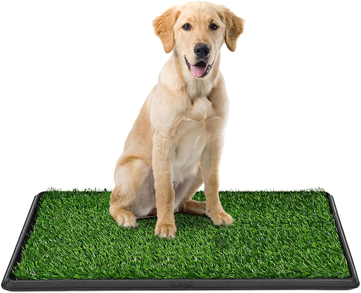 Artificial Grass Bathroom Mat for Puppies and Small Pets Portable