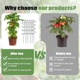 thumbnail image 4 of 10 Pack Spiral Plant Stakes, Tomato Twist Support for Climbing Plants, Outdoor Garden Stakes for Tomatoes, Roses, Vines and Indoor Potted Plants, 4 of 7