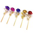 thumbnail image 4 of Joernso Birthday Wedding Gift Gold Plated Rose Lover's Flower Dipped Rose Eternal Love, 4 of 8