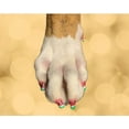 thumbnail image 2 of Warren London Pawdicure Dog Nail Polish Pen | Quick Dry - Water Based - Non Toxic | Red, 2 of 12